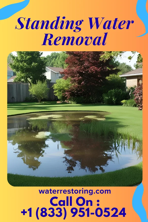 Standing Water Removal in Lake Ozark, MO
